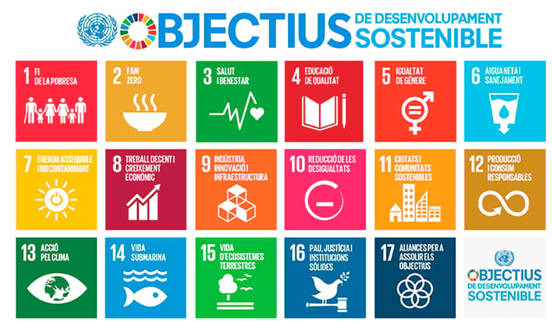 Figura 1. Objectius de Desenvolupament Sostenible. Nacions Unides