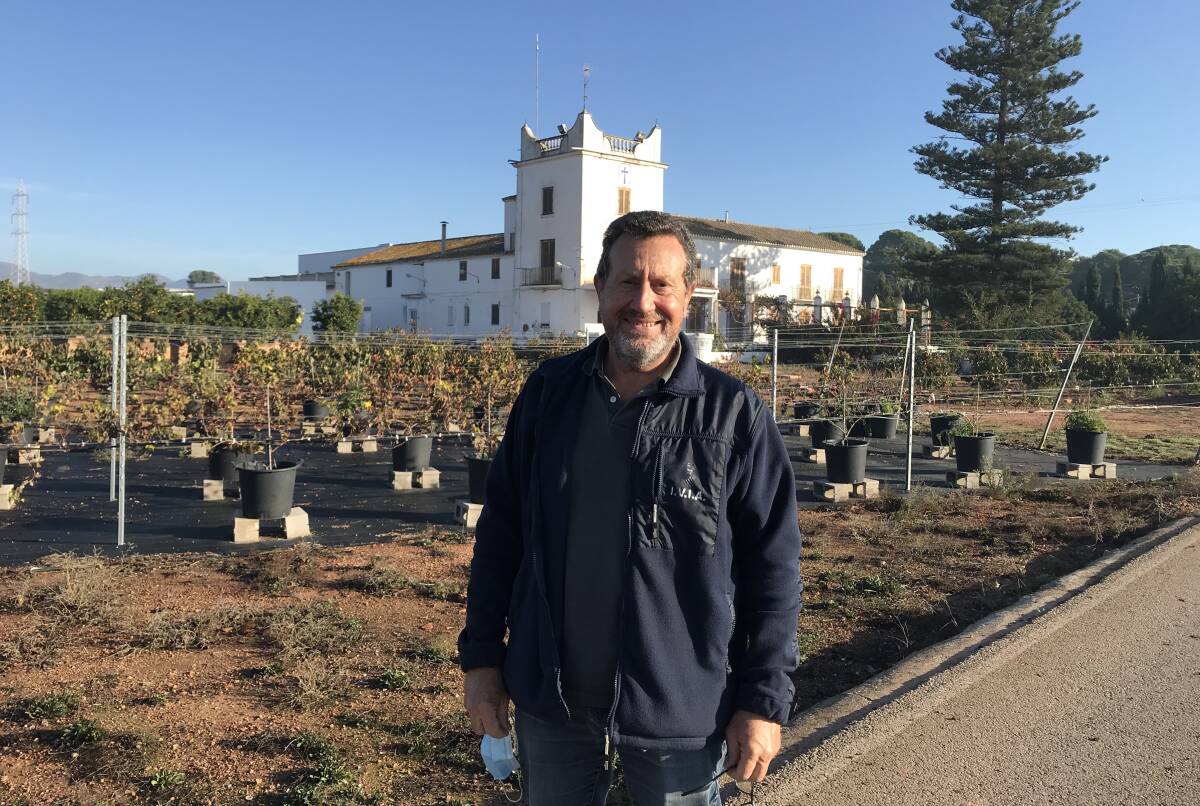 Ignacio Marsal, ingeniero del Departamento de Horticultura del IVIA. Foto: VP