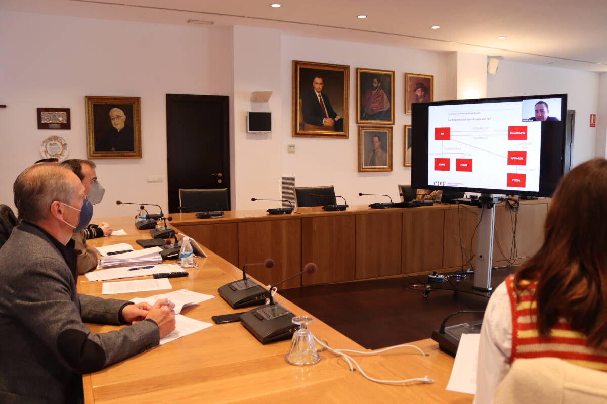 Intervención de Manuel Illueca, director general del Instituto Valenciano de Finanzas, en la reunión telemática.