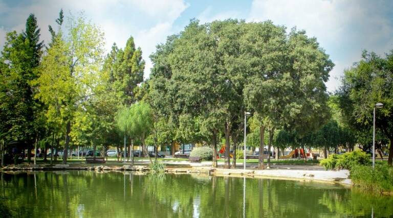 El estanque del parque José Royo (imagen de antes del vallado) ocupa una superficie de 620 metros cuadrados.