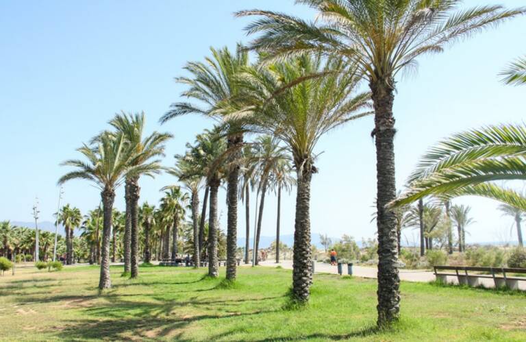 El lote del parque Litoral y paseo Marítimo es el único que ha vuelto a salir a concurso.