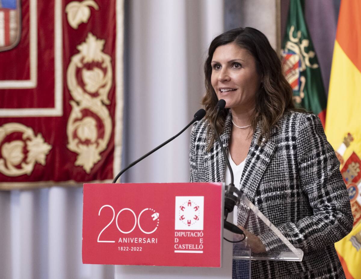 La portavoz adjunta del PP en la Diputación, María Ángeles Pallarés. Foto: PPCS