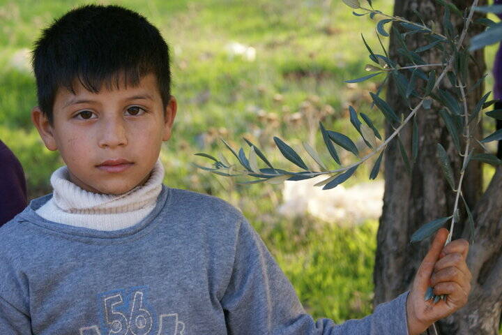 Niño palestino en Hebrón. APS