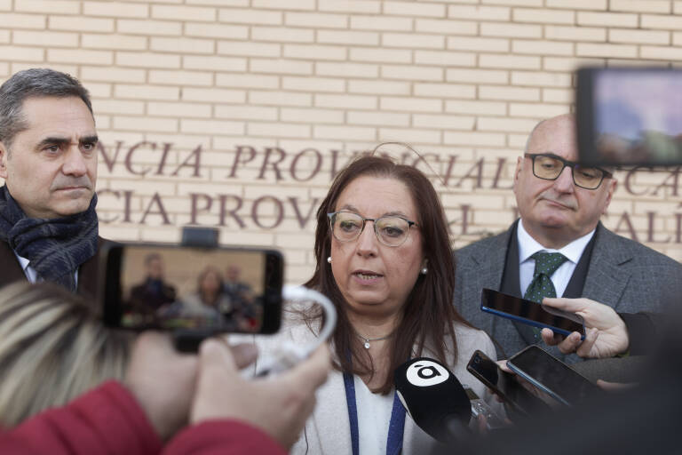 La presidenta de Vox Castellón, Llanos Massó. Foto: ANTONIO PRADAS