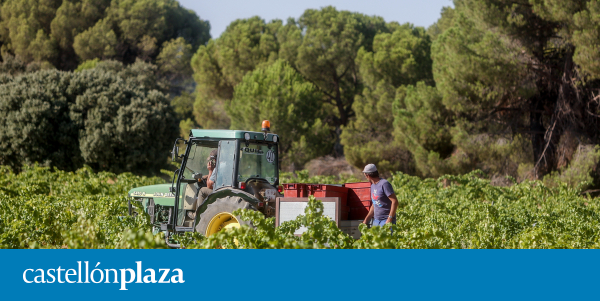 Two out of every three Castellón farmers, out of the 300 million in government aid